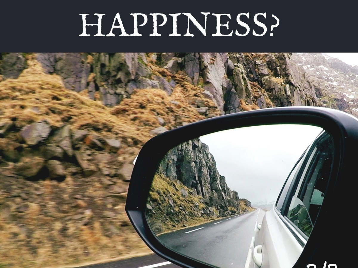 Can We Manufacture&nbsp;Happiness?